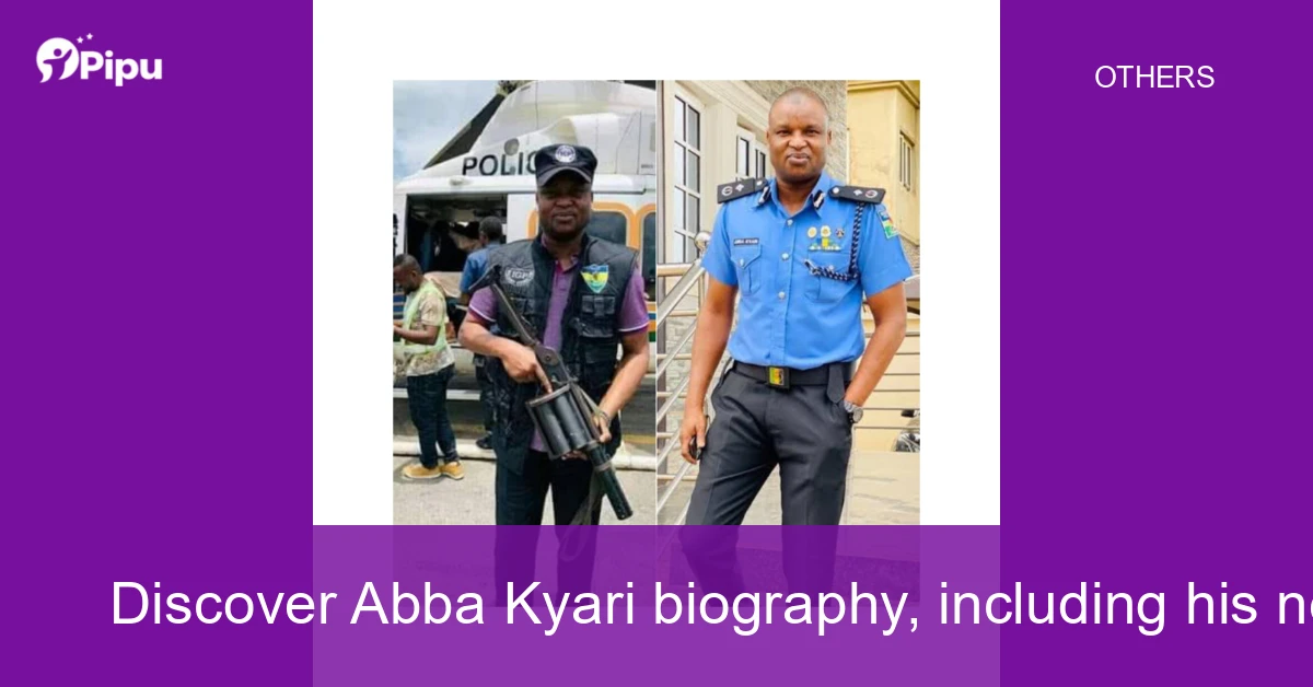 Discover Abba Kyari biography, including his net worth, age, wife, education, family, early life, police career, controversies, and achievements in Nigeria.